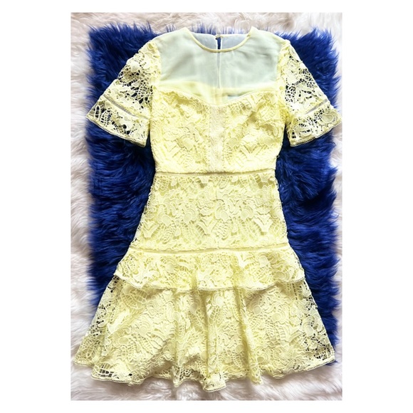 New! FRENCH CONNECTION Lace Ruffle Fit & Flare Mini Dress - Picture 6 of 11